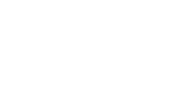 lOGO-LE-CAMELEON-CHOCOLATES