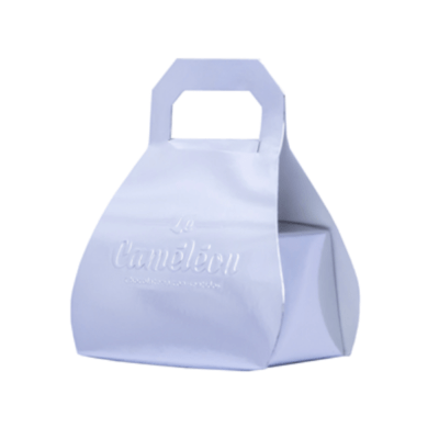 Estuche clásico plateado 2pzs